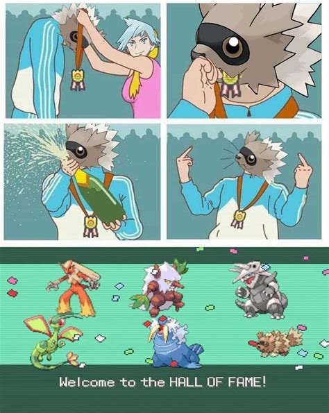 Zigzagoon did his best : r/pokemonmemes