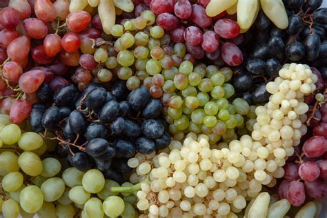 Types of Grapes: 15 Common Varieties | Fine Dining Lovers