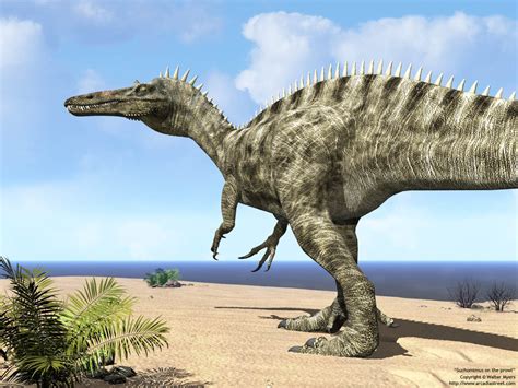 Suchomimus | Cool Dino Facts Wiki | FANDOM powered by Wikia