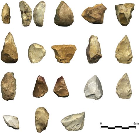 A selection of Micro-mousterian tools. | Download Scientific Diagram