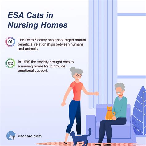 7 Ways Your ESA Cat Can Quickly Boost Your Quality of Life - ESA Care