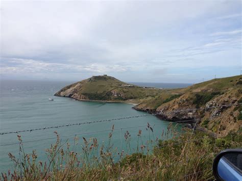 Royal Albatross Colony, at the tip of the Otago Peninsula, Dunedin, New Zealand. | Dunedin ...