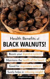 Black Walnut Benefits - Reasons Why You Must Eat Them!