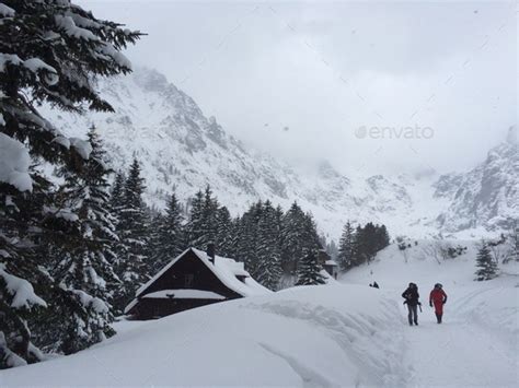 Hiking in the snowy mountains Stock Photo by marinavm06 | PhotoDune