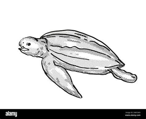 Leatherback Sea Turtle Drawing