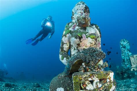 21 Best Scuba Diving Tips For Beginners - Traveling Ness