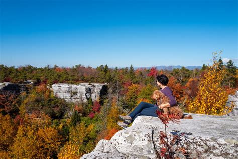 5 Things You Didn’t Know About Hiking In Tennessee - RV Lyfe