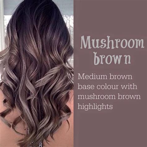 Mushroom brown | Hair color 2017, Long hair styles, Balayage hair