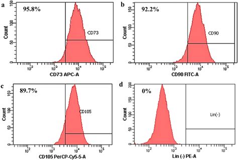 Surface marker identification of human Wharton's jelly mesenchymal stem ...