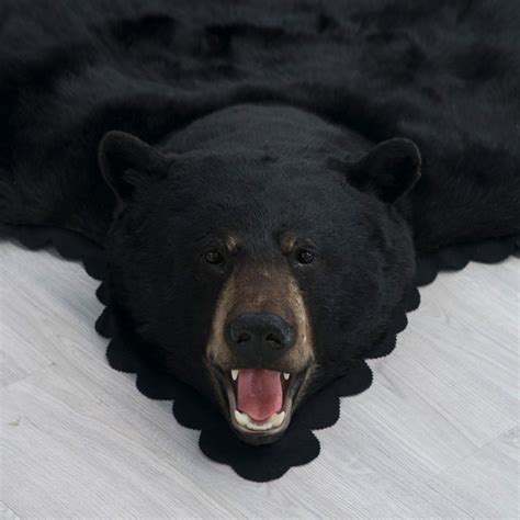 6 Feet 3 Inches (191 cm) Black Bear Rug 18026600090