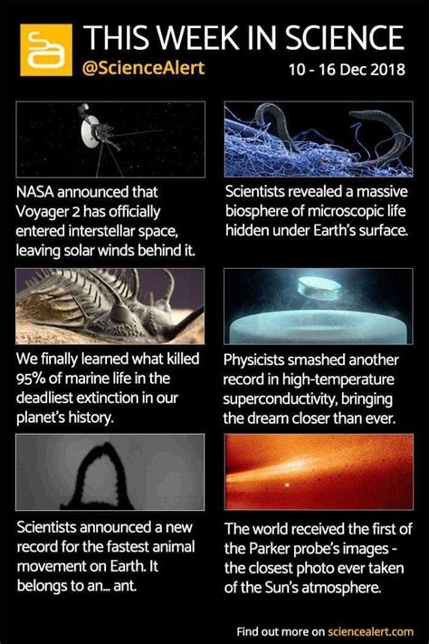 Pin by just a mood on science | Interesting science facts, Cool science ...