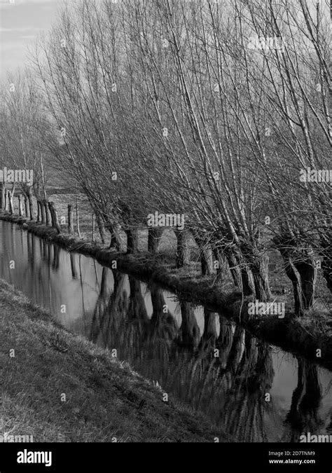 kinderdijk in the netherlands Stock Photo - Alamy