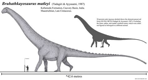 What we lost: Bruhathkayosaurus matleyi by Paleonerd01 on DeviantArt