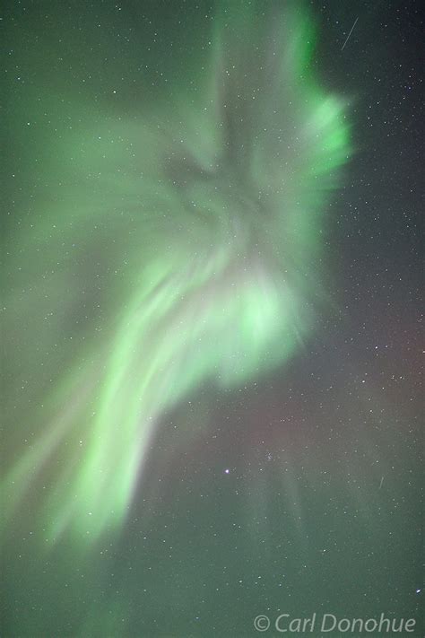 Aurora borealis Coronal photo | Alaska | Carl Donohue Photography