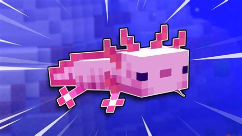 New minecraft axolotl colors - yourdiki