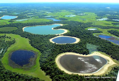 Pantanal Wetlands Brazil; The Largest Freshwater Wetland Ecosystems in the World ...