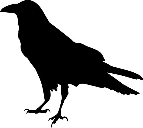 Raven PNG Public Domain Transparent Raven Public Domain.PNG Images ...