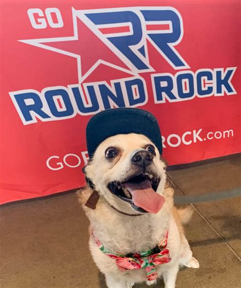 Dog-Friendly Spots in Round Rock - Round Rock TX