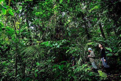 Amazon Jungle Expedition | Amazon Rainforest, Ecuador | Travel Tips