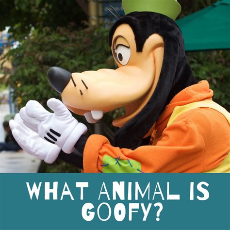 Is Goofy a Dog? Disney's Cow Cover-Up Revealed - ReelRundown