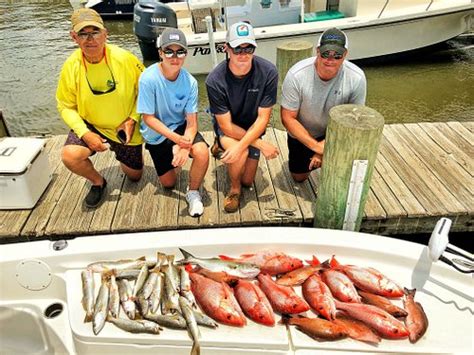 THE 15 BEST Things to Do in Apalachicola - 2023 (with Photos) - Tripadvisor