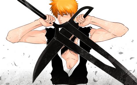 New Zanpaktou Ichigo Dual Sword 4p Wallpaper HD