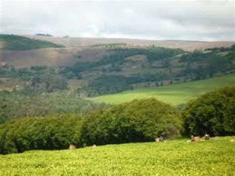 Njombe Region Tourism (2024) Tanzania - Best Places to Visit in Njombe Region, Njombe Region ...