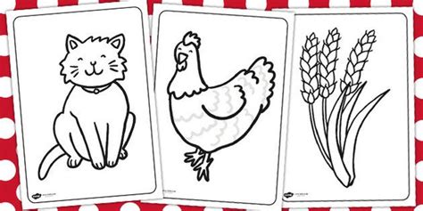 20 Fun Little Red Hen Activities for Preschool - Teaching Expertise