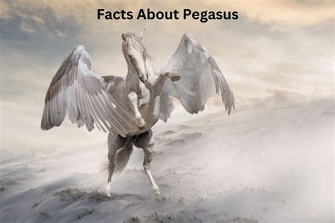 10 Facts About Pegasus - Have Fun With History