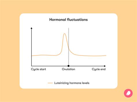 Luteinizing hormone: What it is and how it affects you - Flo