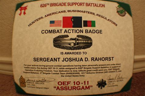 Combat Action Badge | Combat action badge, Combat, Battalion