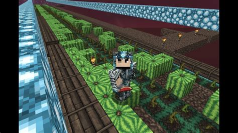 Hypixel Skyblock Melon Farm Update 1 (mic muted sorry) :( - YouTube