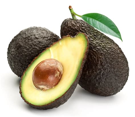 Hass Avocado Tree