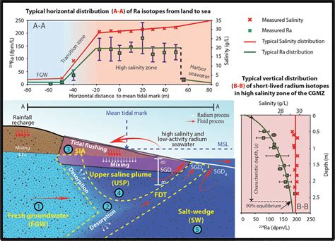 Conceptual diagram illustrating radium isotope processes in the ...