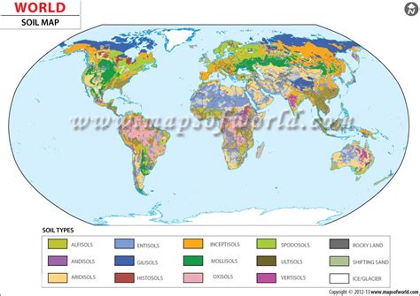 Soil Map Of World