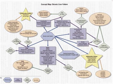 Nursing Concept Map For Hypertension | Kaleb Watson