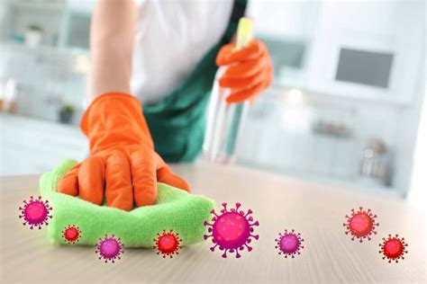 Cleaning vs. Sanitizing vs. Disinfecting | Berk International