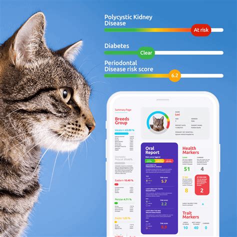 Cat DNA Test Kit | Breed, Health, and Traits Report from Basepaws