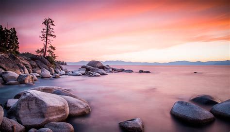 Download Tree Turquoise Lake Nature Lake Tahoe 4k Ultra HD Wallpaper