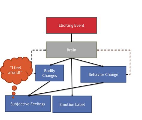 James-Lange Theory – Psychology of Human Emotion.