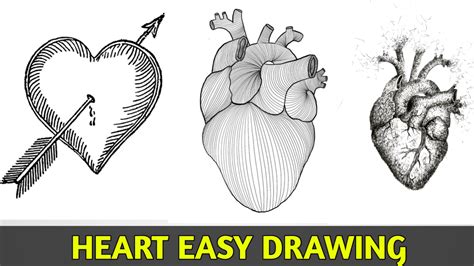 Heart drawing New easy method and anatomical heart images