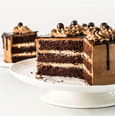 Chocolate Mocha Cake - The Itsy-Bitsy Kitchen