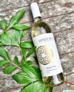 Sauvignon Blanc Food Pairing - Urban Bliss Life