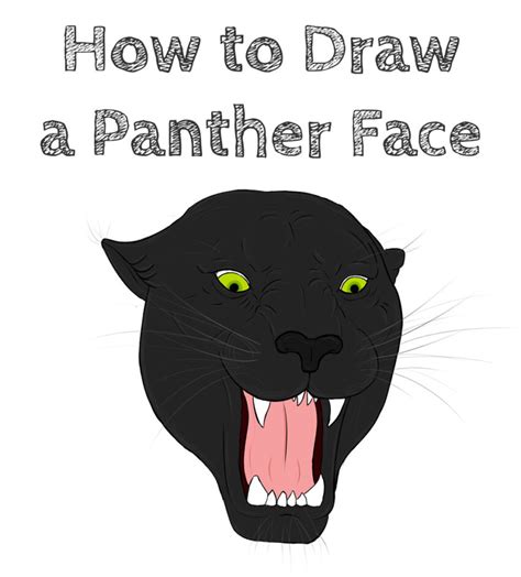 How to Draw a Panther Face - How to Draw Easy