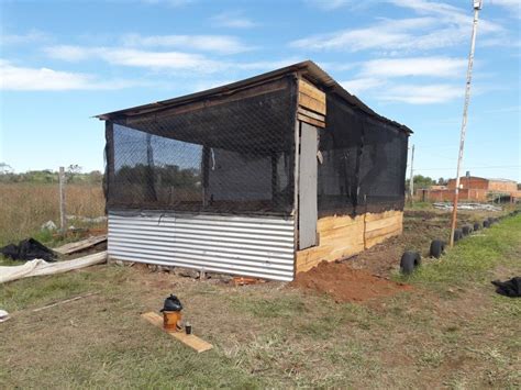 Galpón 6 x 4 para 200 pollos | Pollos de engorde, Casas para gallinas, Corrales para gallinas