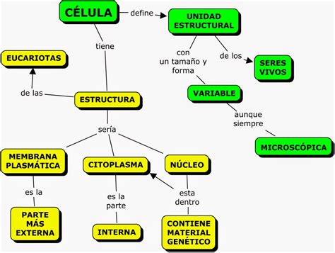 Mapa Conceptual de La Célula | Mapas Conceptuales