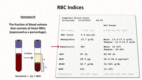 How to Interpret RBC Indices (e.g. hemoglobin vs. hematocrit, MCV, RDW) - YouTube