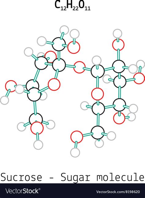 C12h22o11 sucrose sugar molecule Royalty Free Vector Image