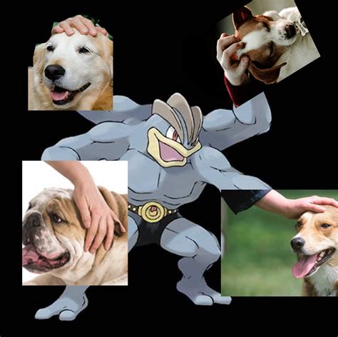 multi-petting machine | Dog Petting Photoshops | Know Your Meme