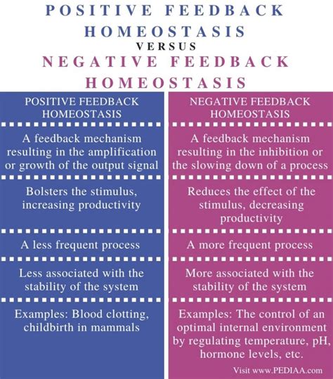 What is the Difference Between Positive and Negative Feedback Homeostasis - Pediaa.Com